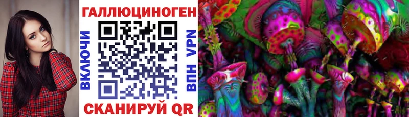 магазин продажи наркотиков  Карачаевск  Галлюциногенные грибы ЛСД 