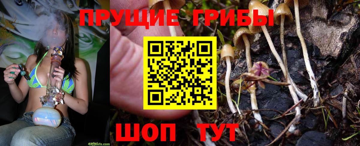 Галлюциногенные грибы Cubensis  Вход с VPN  Карачаевск 