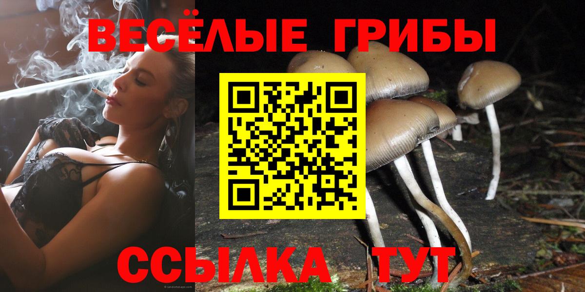 Псилоцибиновые грибы ЛСД Карачаевск