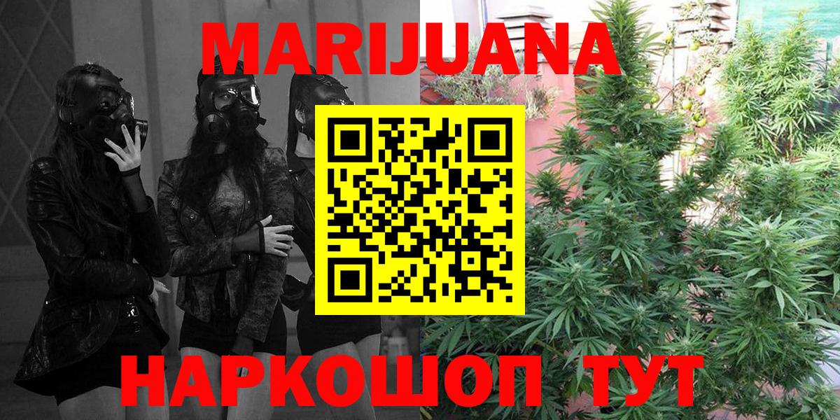 Каннабис конопля  Вход с VPN  Бошки марихуана семена  МАРИХУАНА SATIVA & INDICA  Карачаевск 